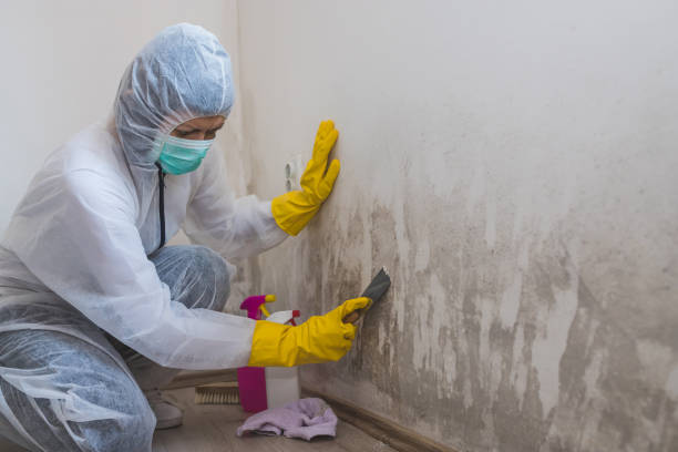 Home Mold Removal in Waunakee, WI