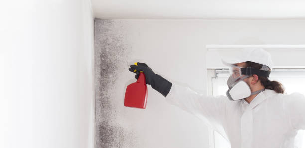 Best Mold Cleaning Services  in Waunakee, WI