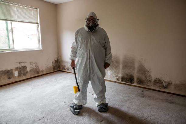 Best Mold Damage Repair  in Waunakee, WI